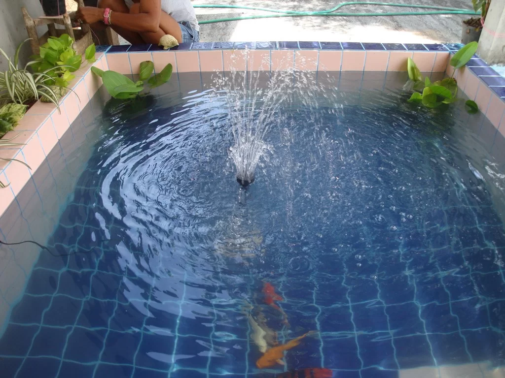ImageUploadedByTapatalk1324433430.522423.webp