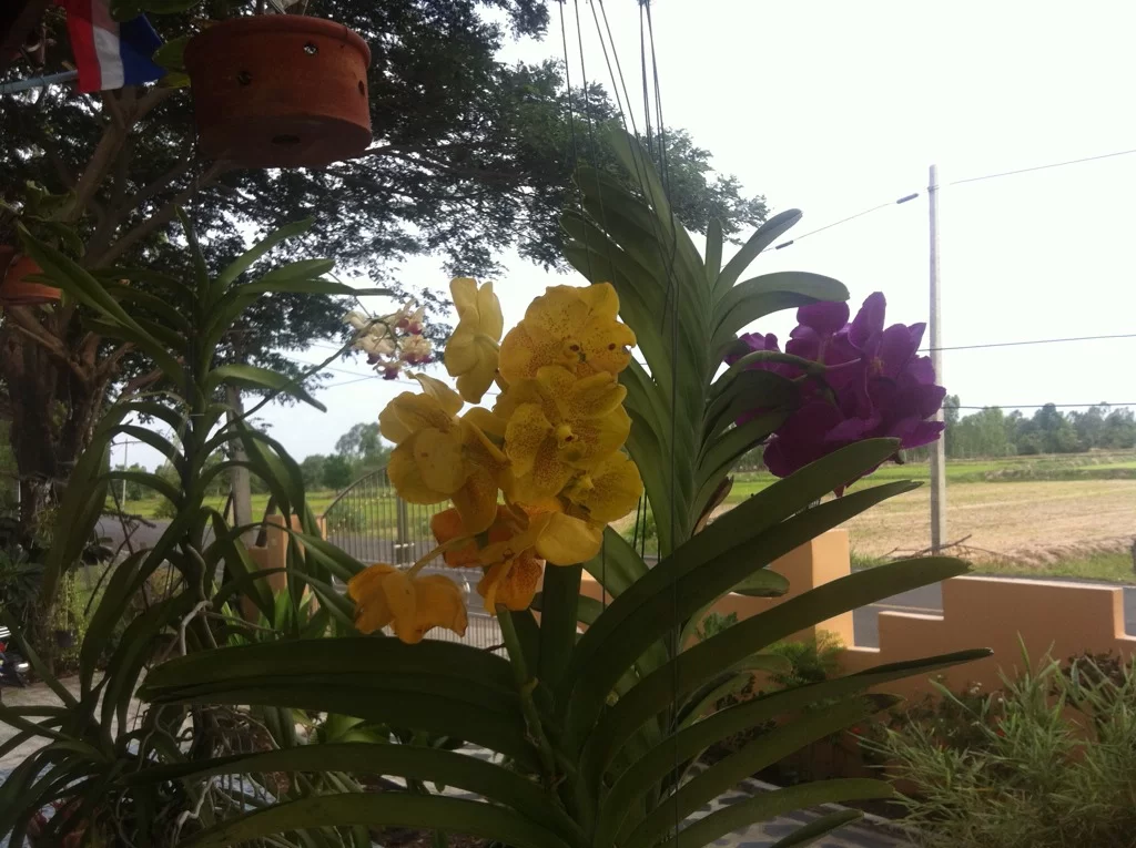 ImageUploadedByTapatalk1343437442.279320.webp