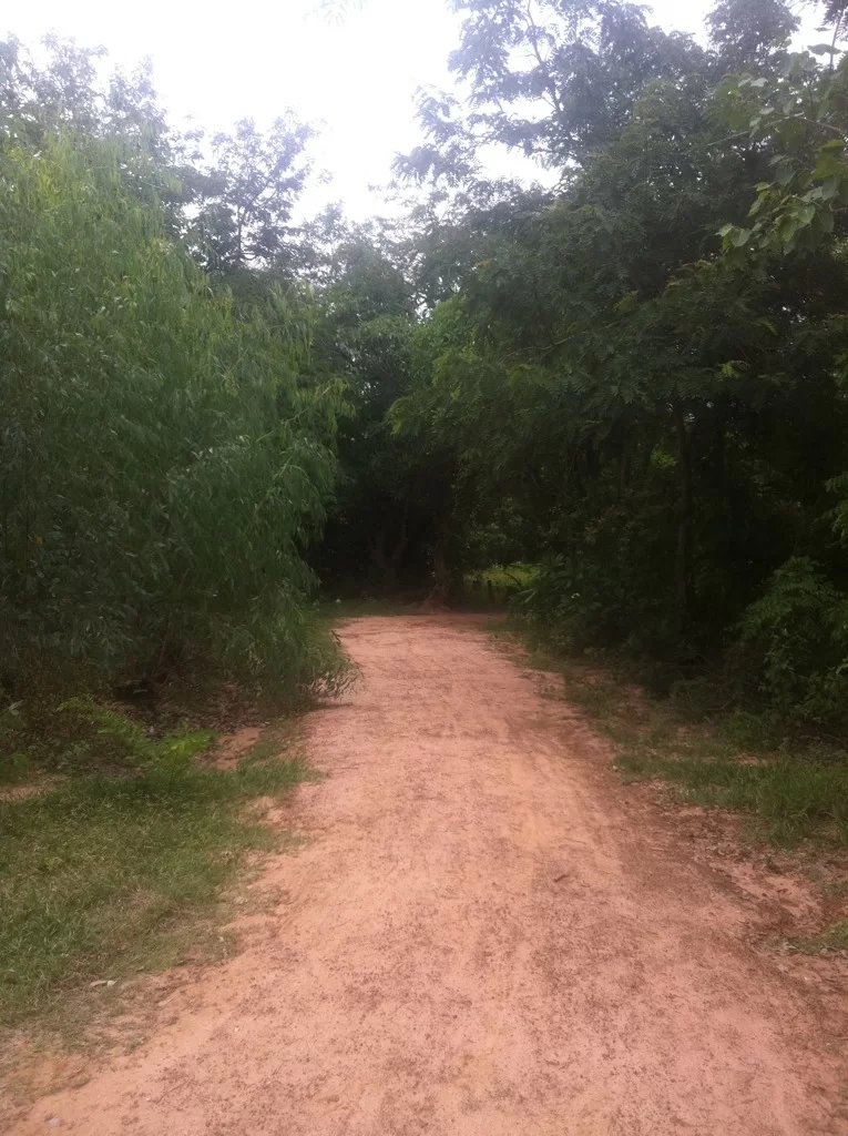 ImageUploadedByTapatalk1343972002.167297.webp
