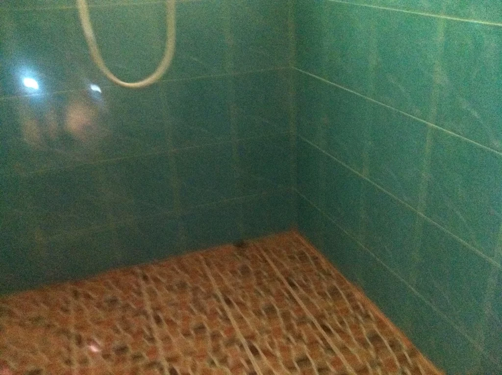 ImageUploadedByTapatalk1344141294.002510.webp