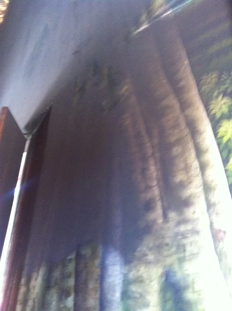 ImageUploadedByTapatalk1344320123.967565.webp