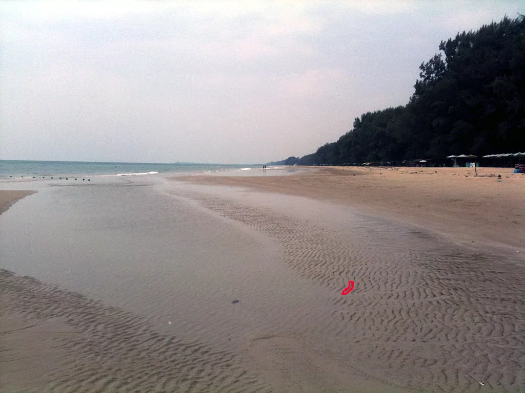 ImageUploadedByTapatalk1362.webp