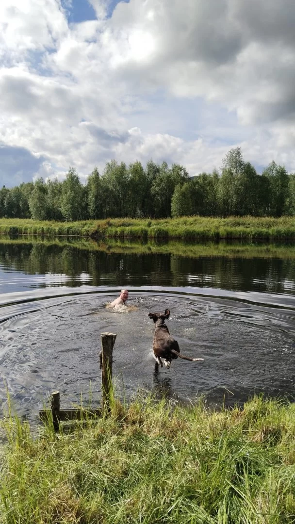 IMG-20230815-WA0008.webp