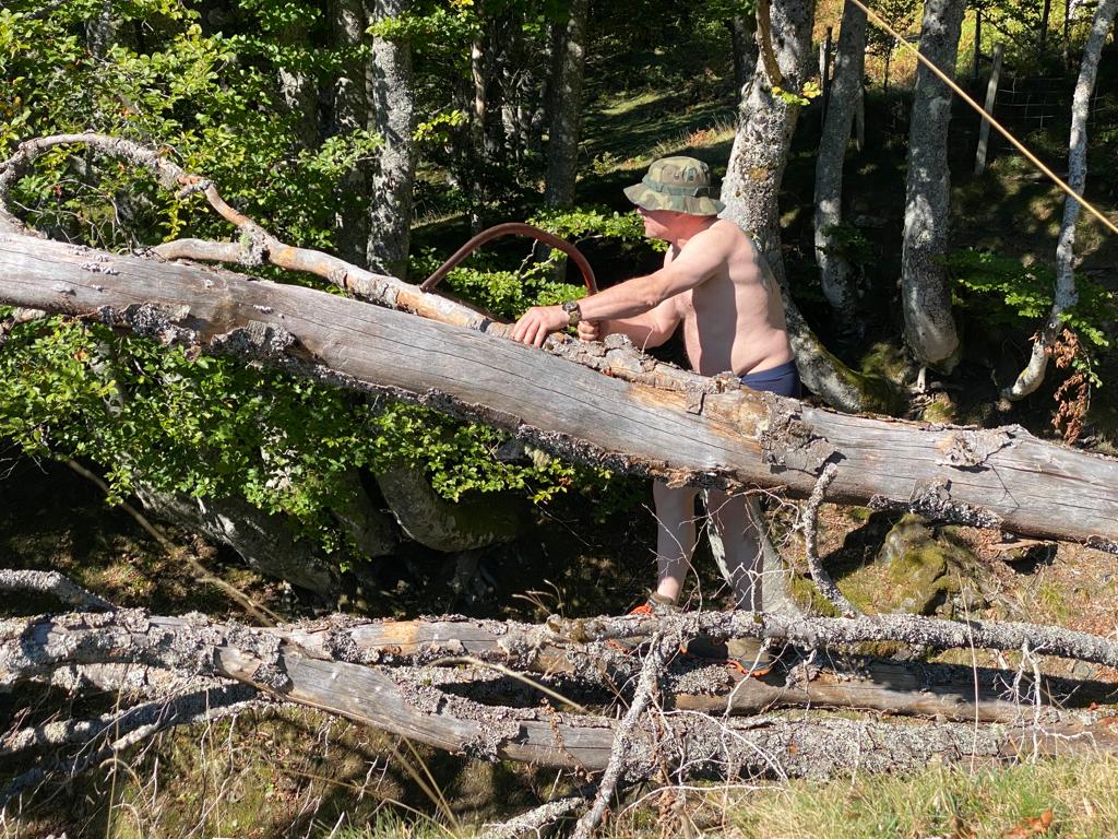 IMG-20231004-WA0003.jpg