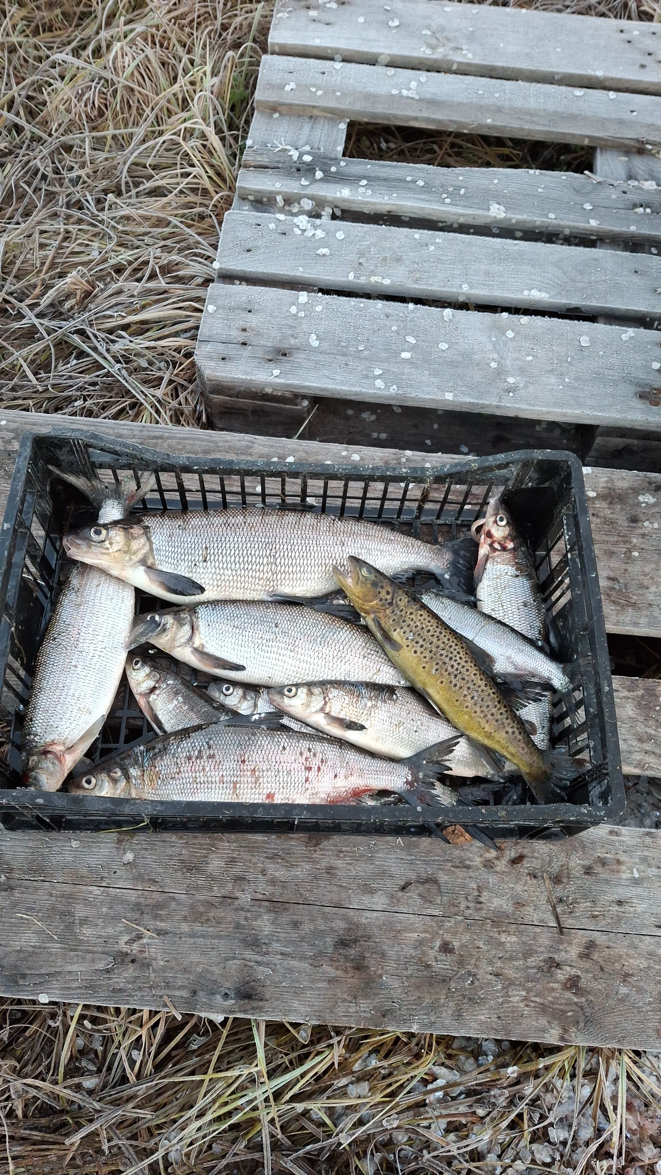 IMG-20251009-WA0002.webp