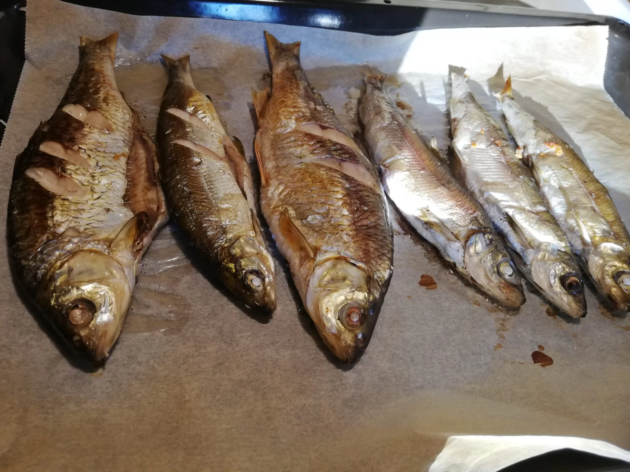 IMG-20261012-WA0002.webp