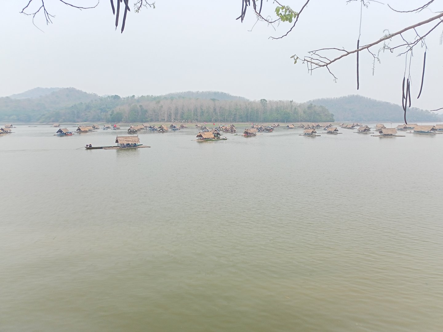 IMG20230413124012.jpg