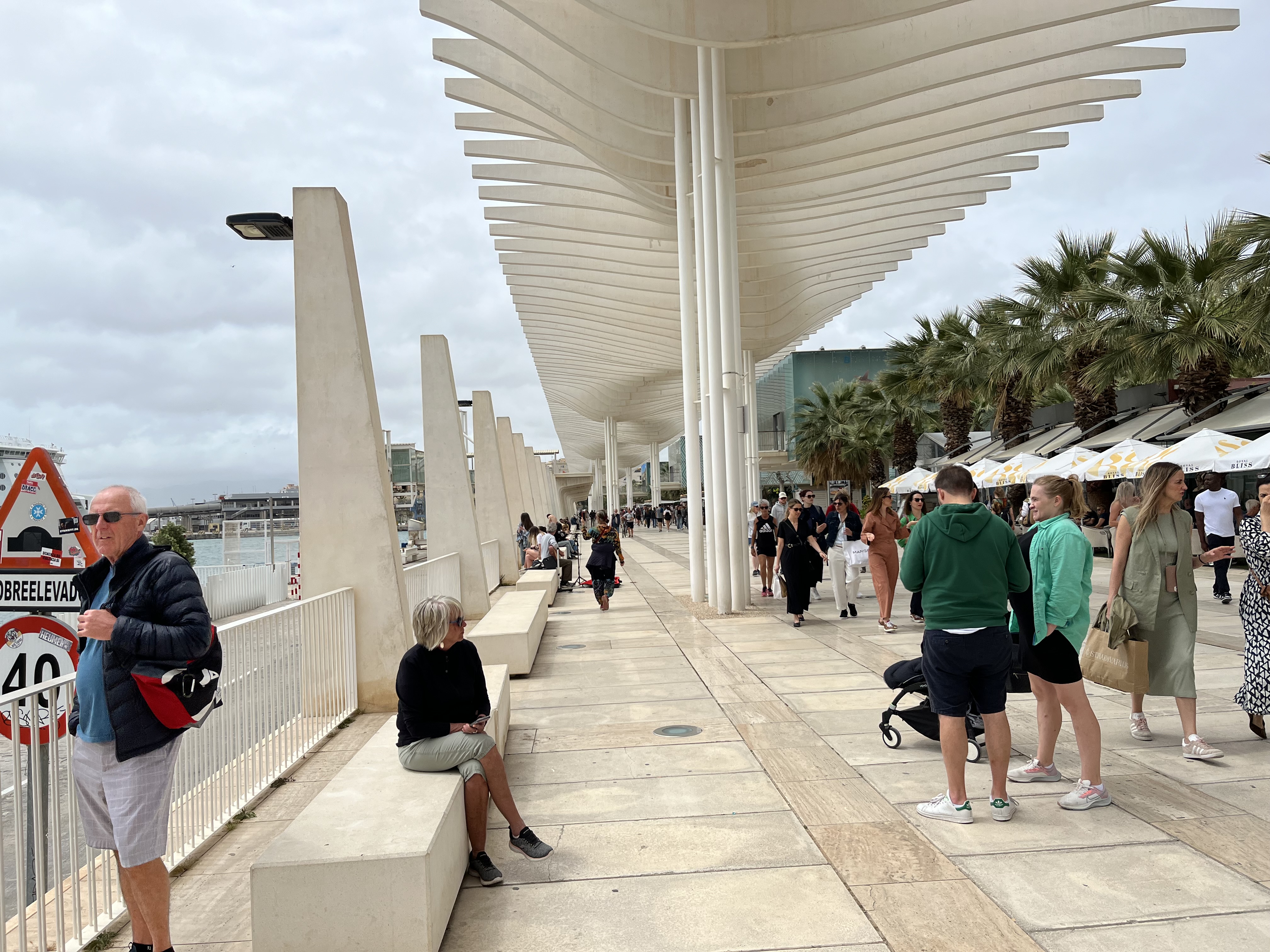 IMG_0016.jpeg