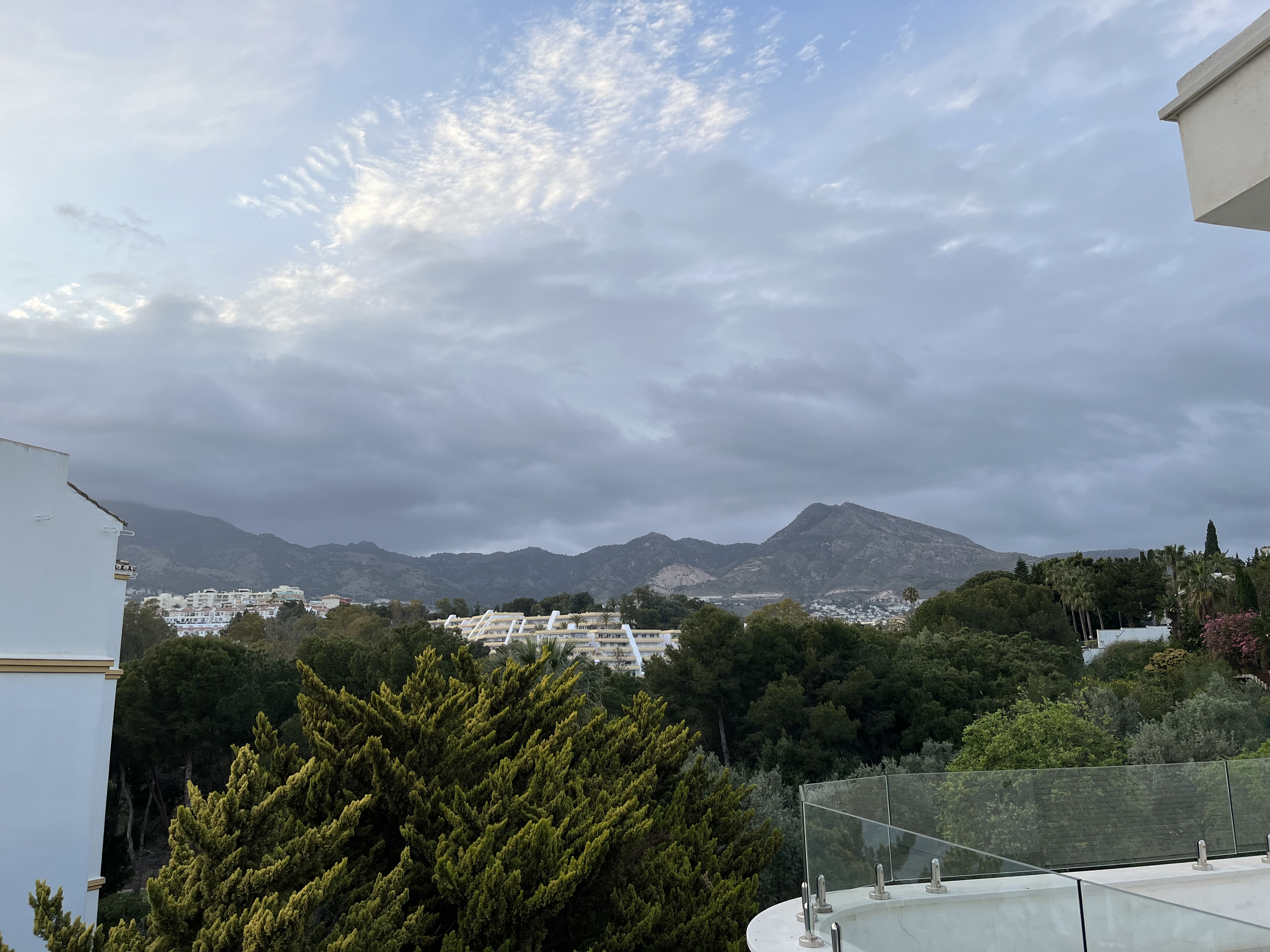 IMG_0017.jpeg