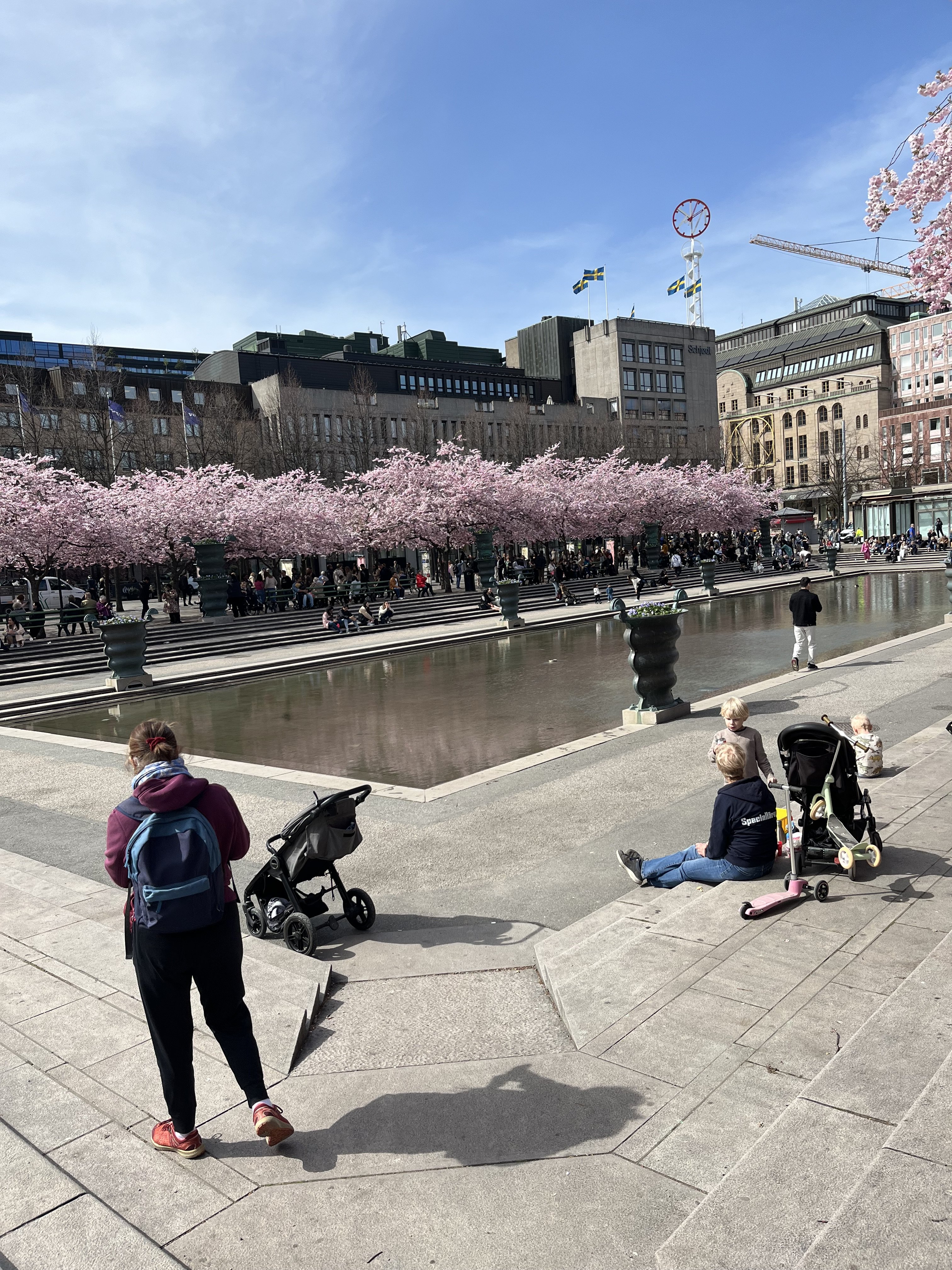 IMG_0050.jpeg