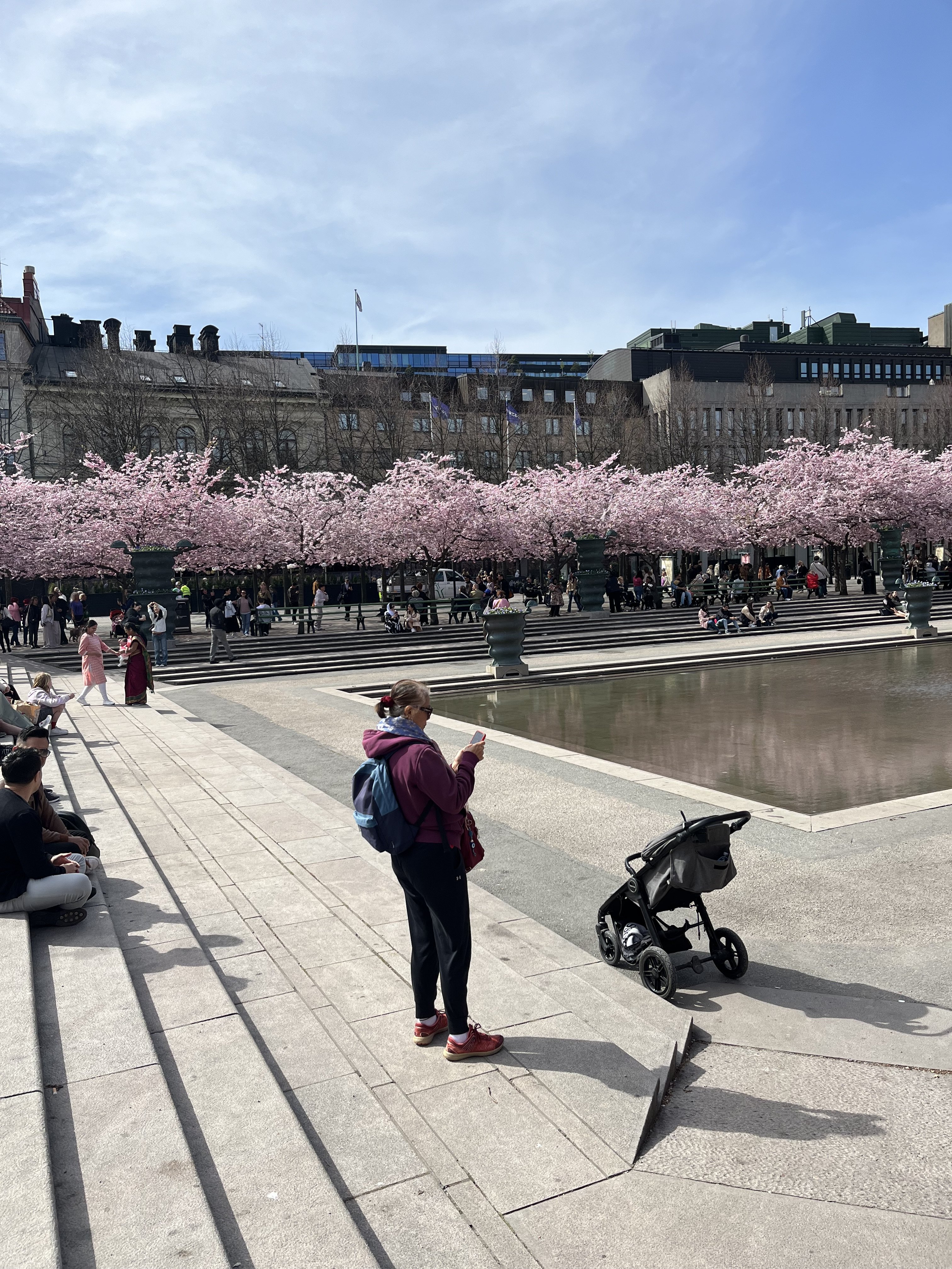 IMG_0051.jpeg