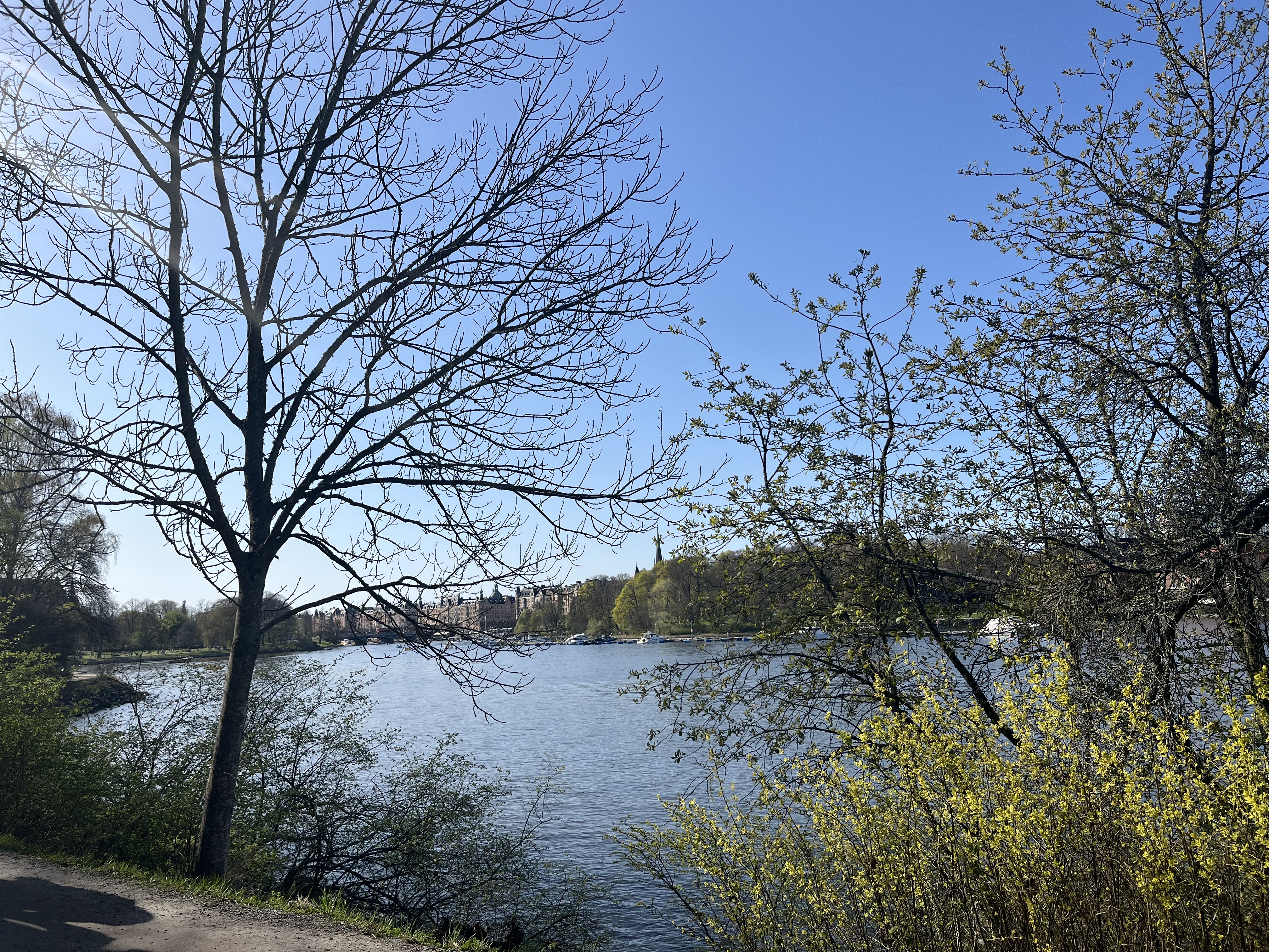 IMG_0058.jpeg