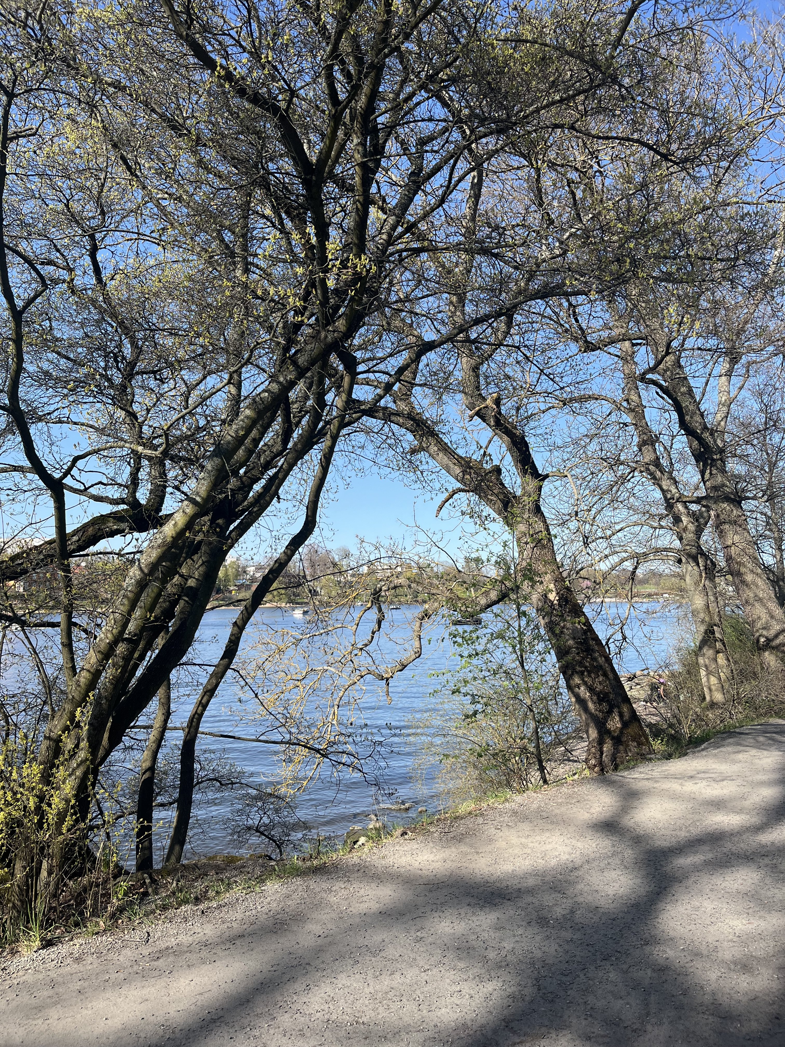 IMG_0059.jpeg