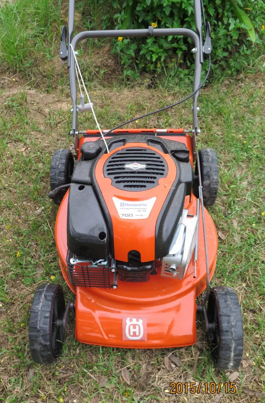IMG_0070.webp IMG_0070.webp