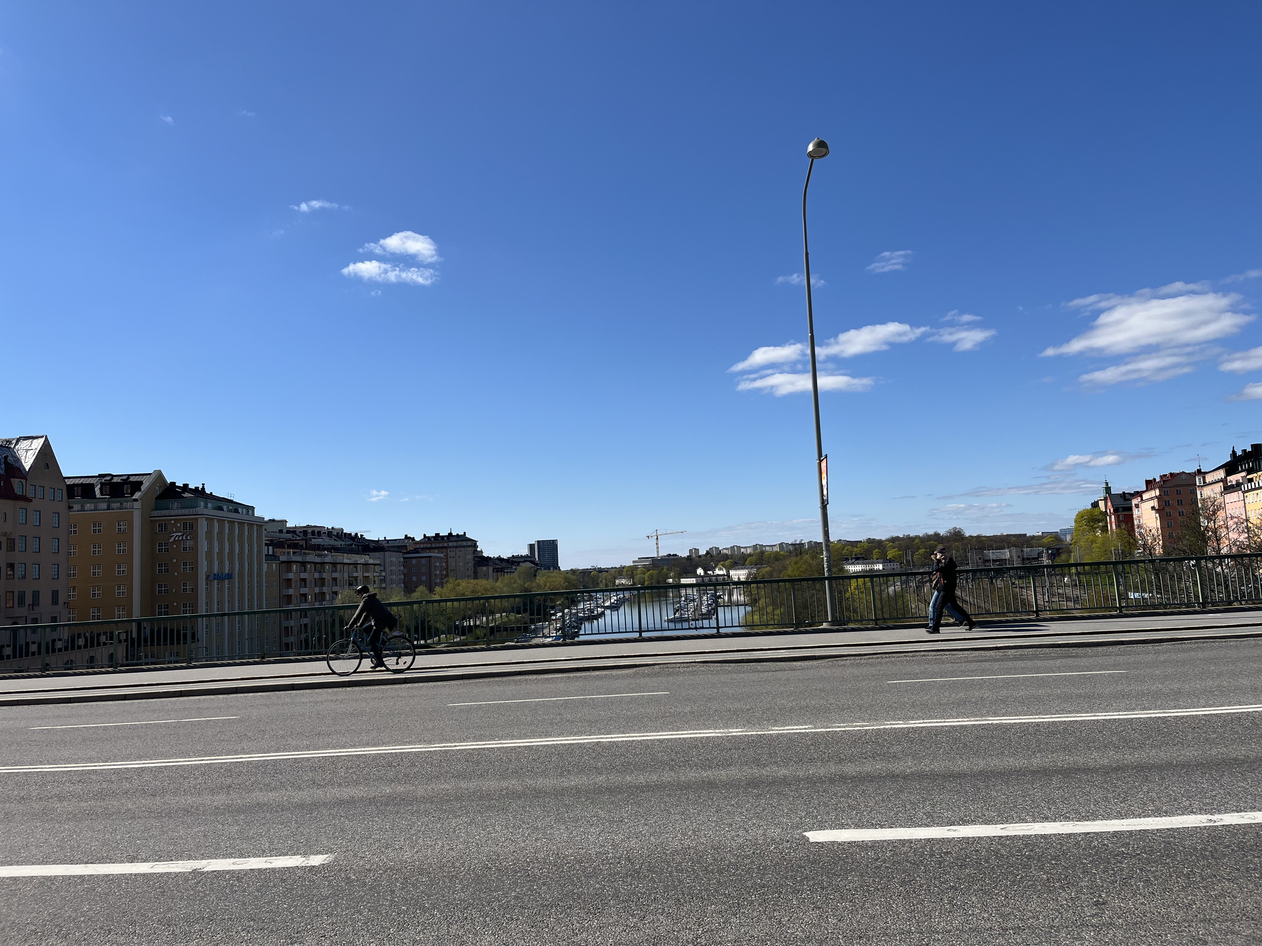 IMG_0080.jpeg