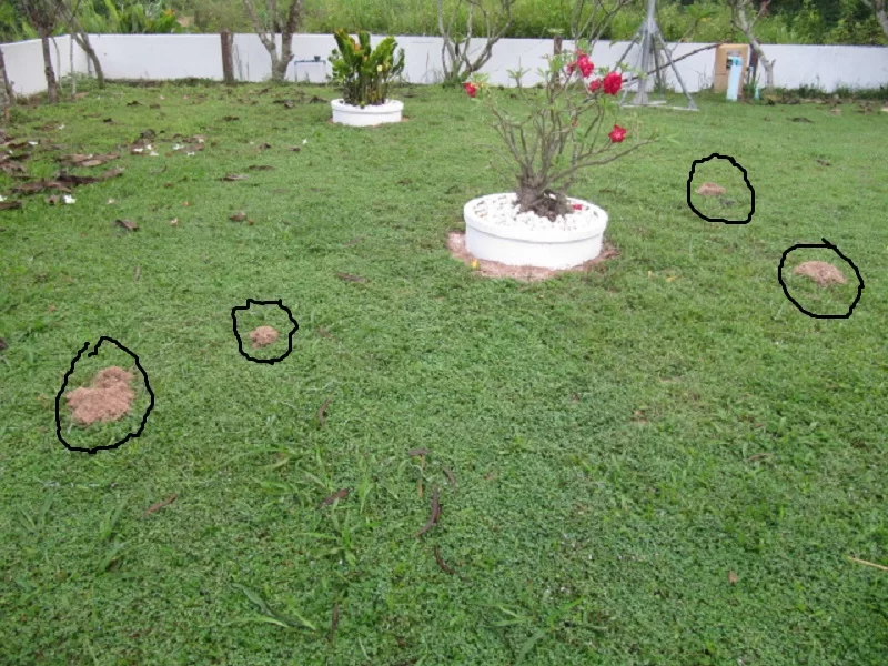 IMG_0084.webp