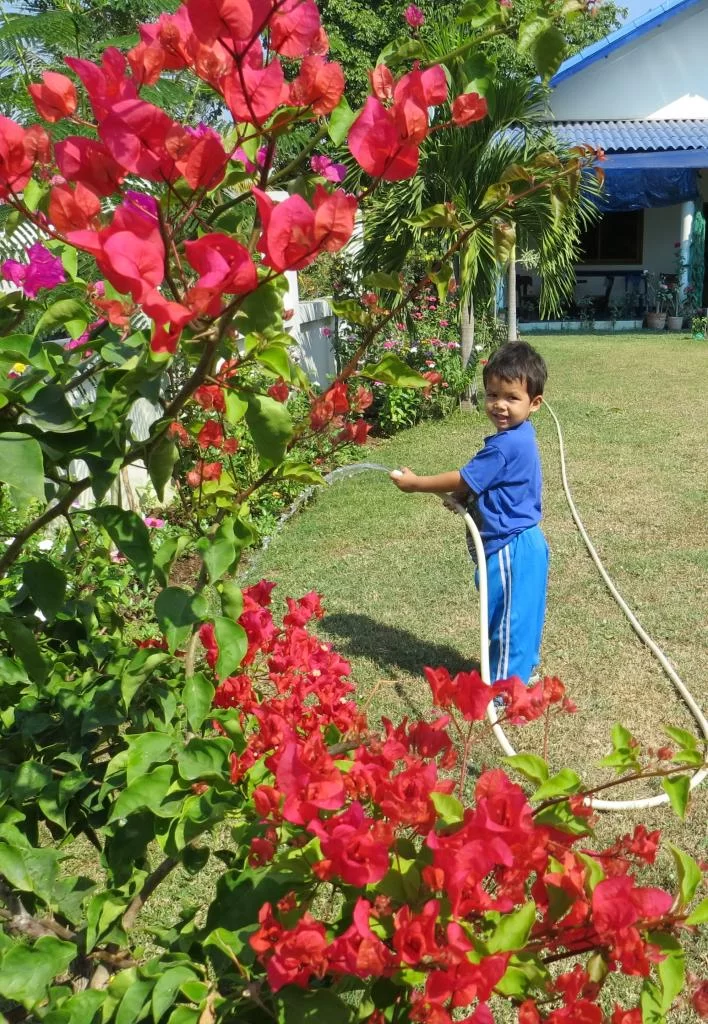 IMG_0170 Jonas vattnar.webp