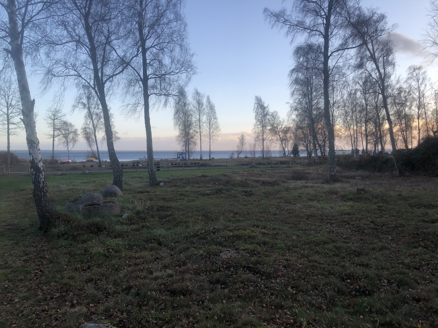 IMG_0170.jpeg