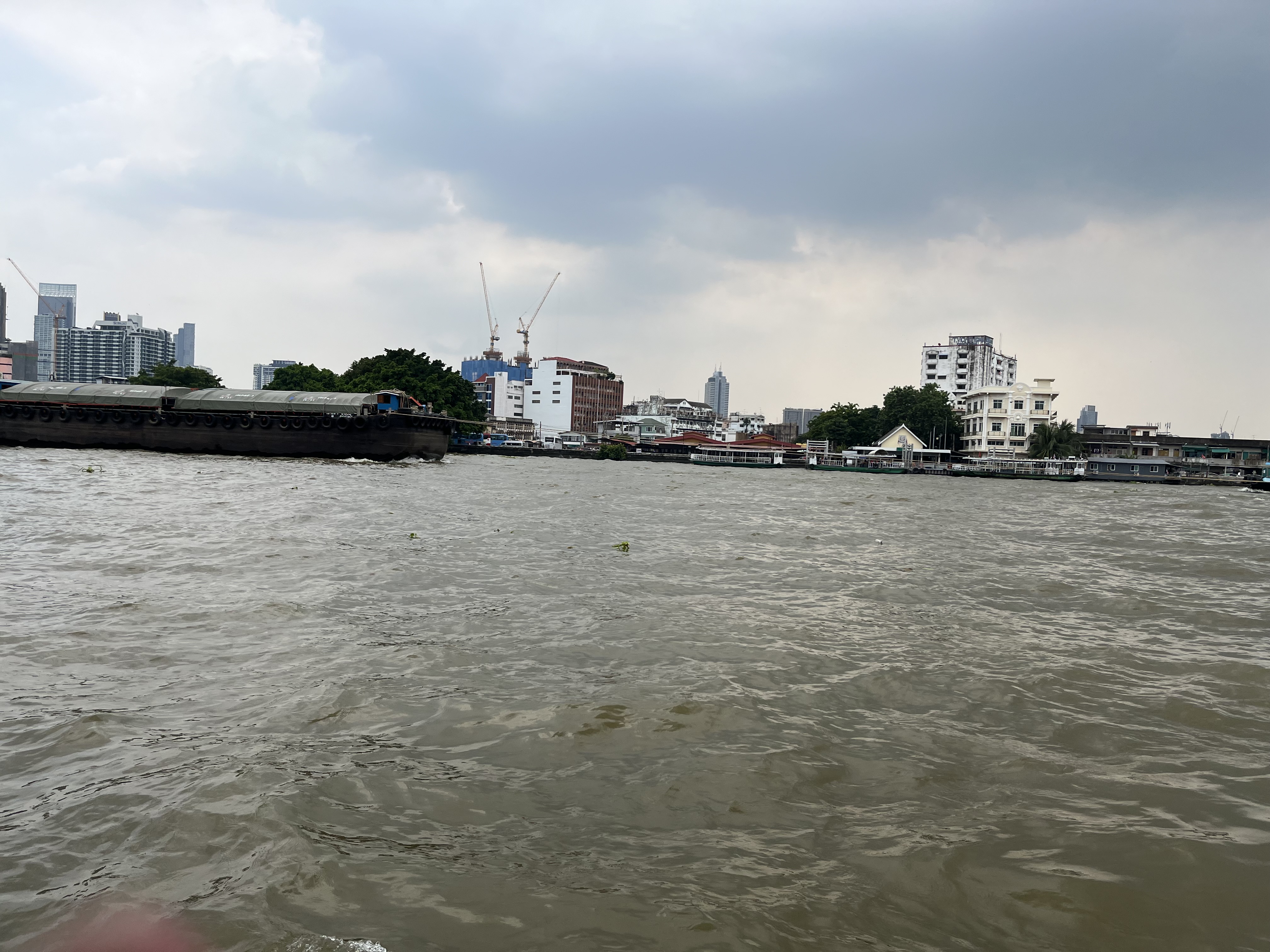 IMG_0317.jpeg