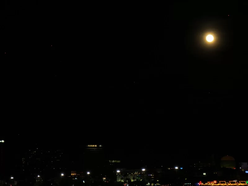 IMG_0345.webp