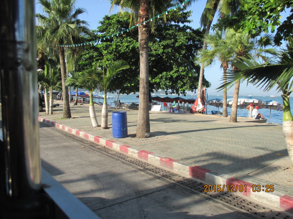 IMG_0384.jpg