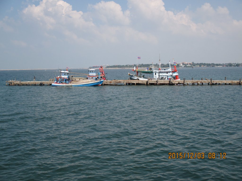 IMG_0560.jpg