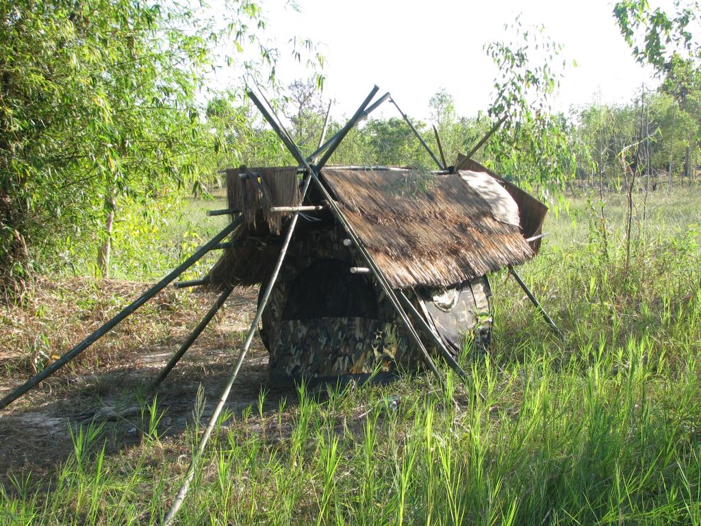IMG_0632.jpg