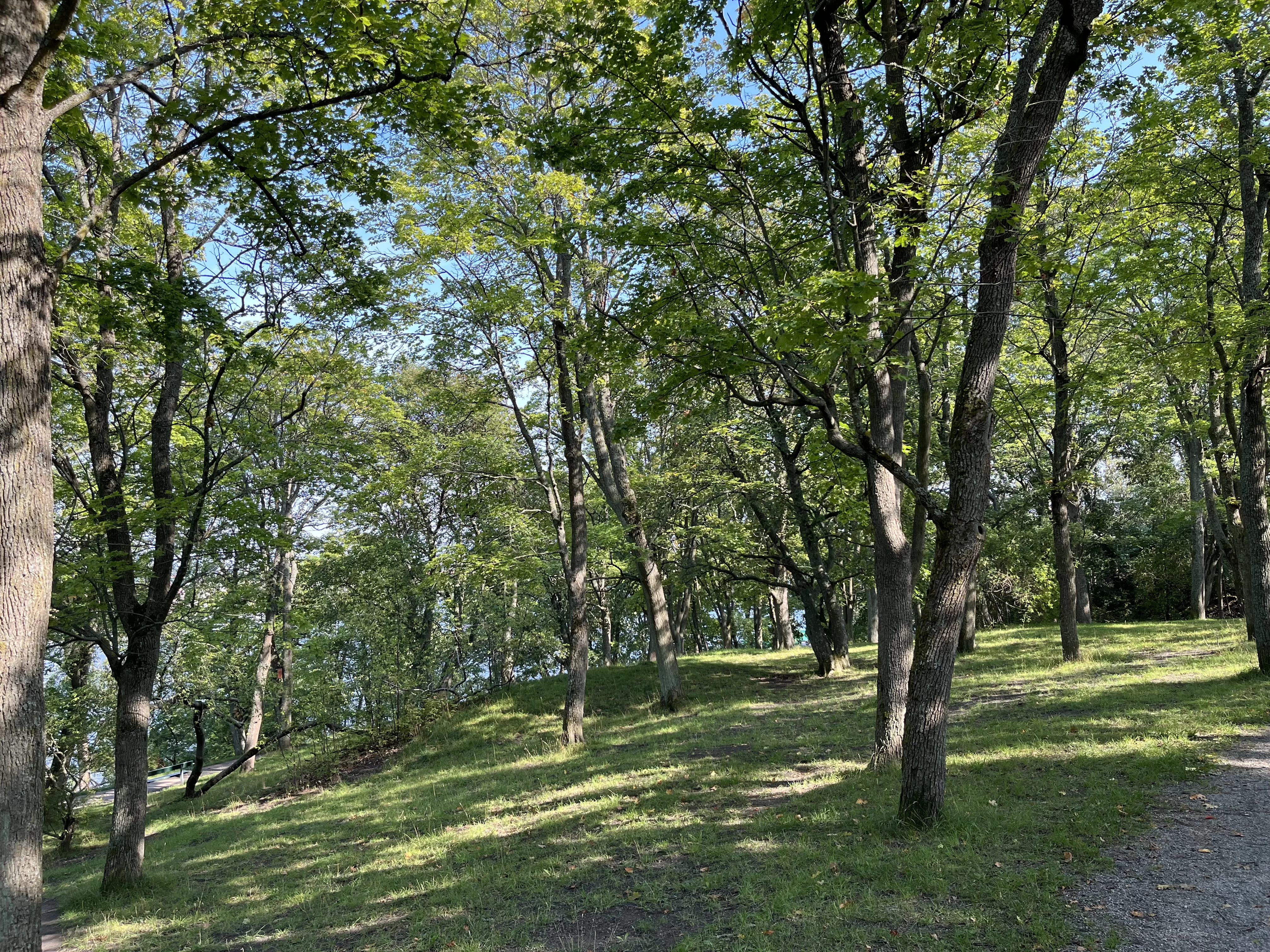 IMG_0698.webp