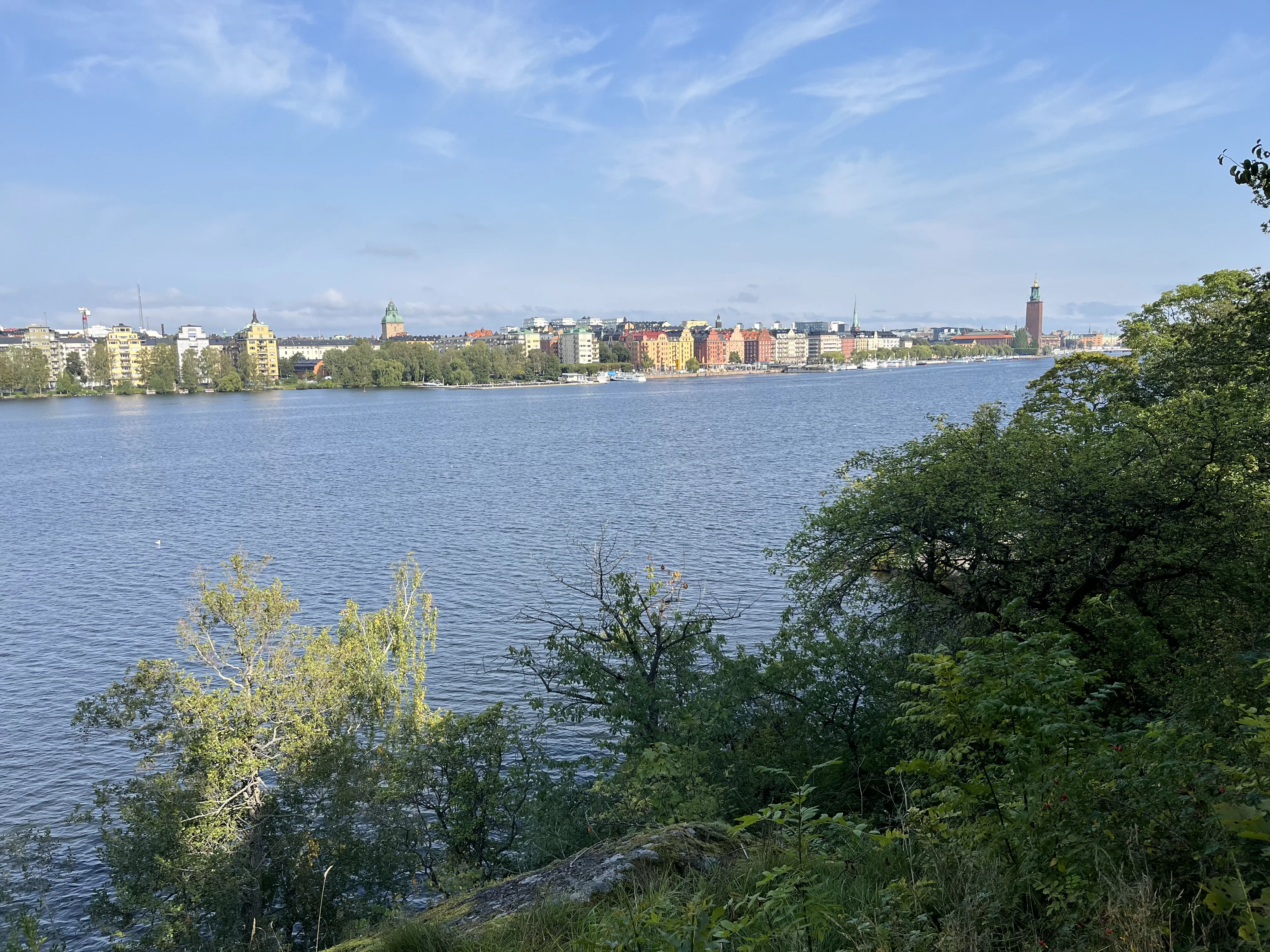IMG_0699.webp