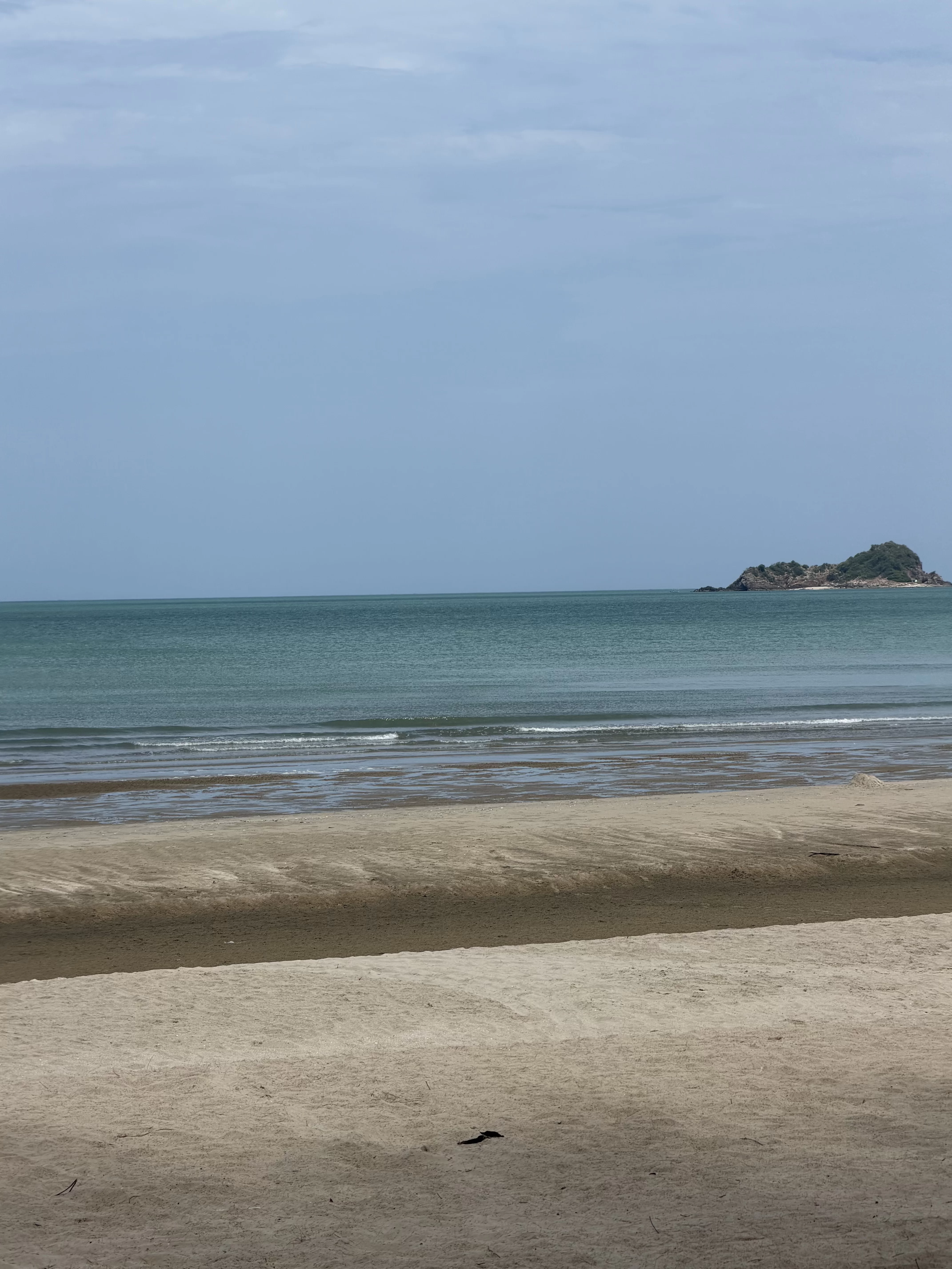 IMG_0846.webp
