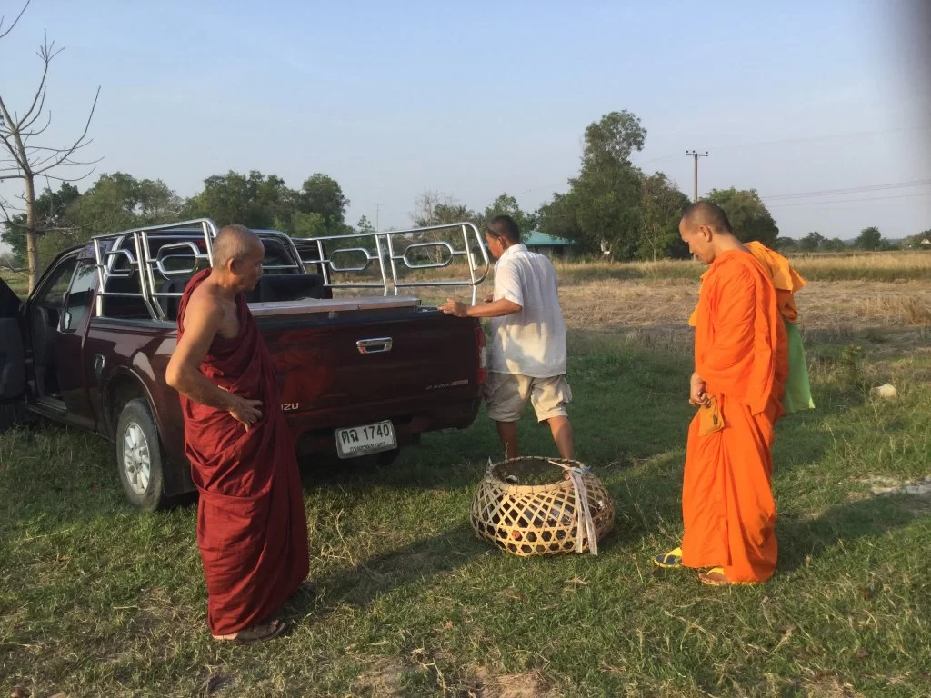 IMG_0878  munkturk.webp