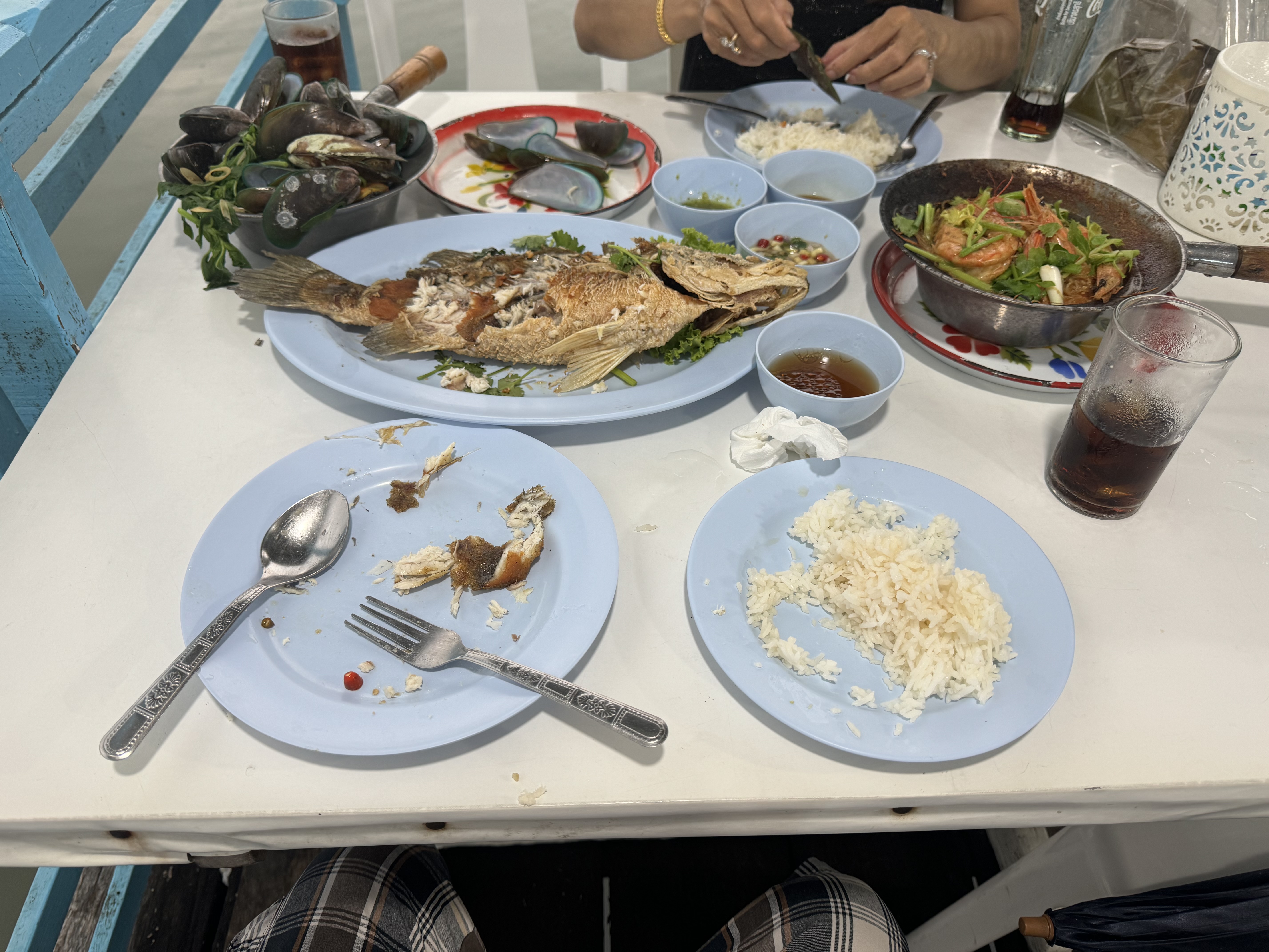 IMG_1006.jpeg