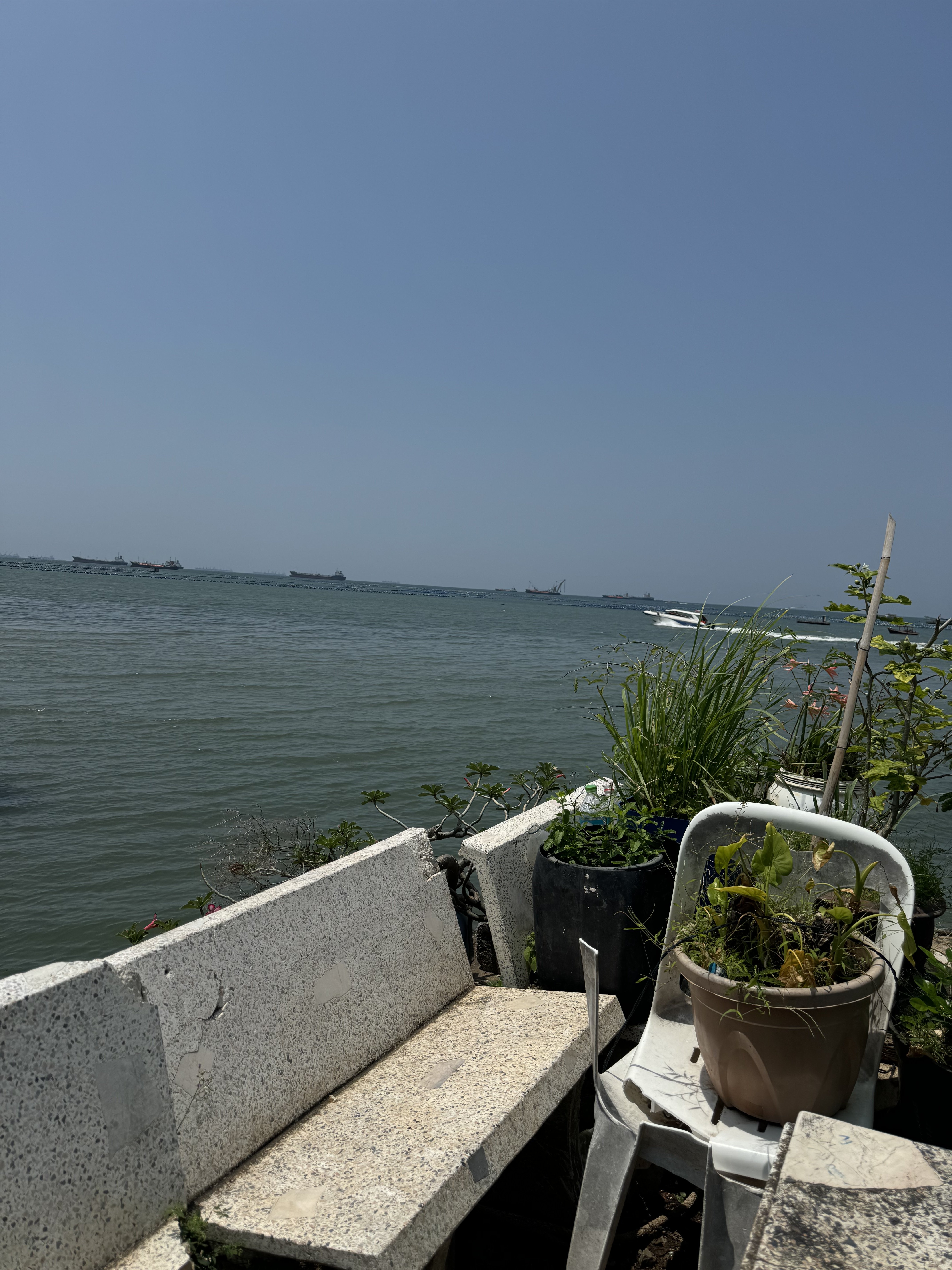 IMG_1015.jpeg