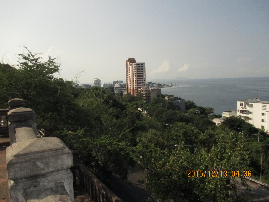 IMG_1065.jpg