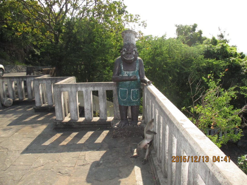 IMG_1071.jpg