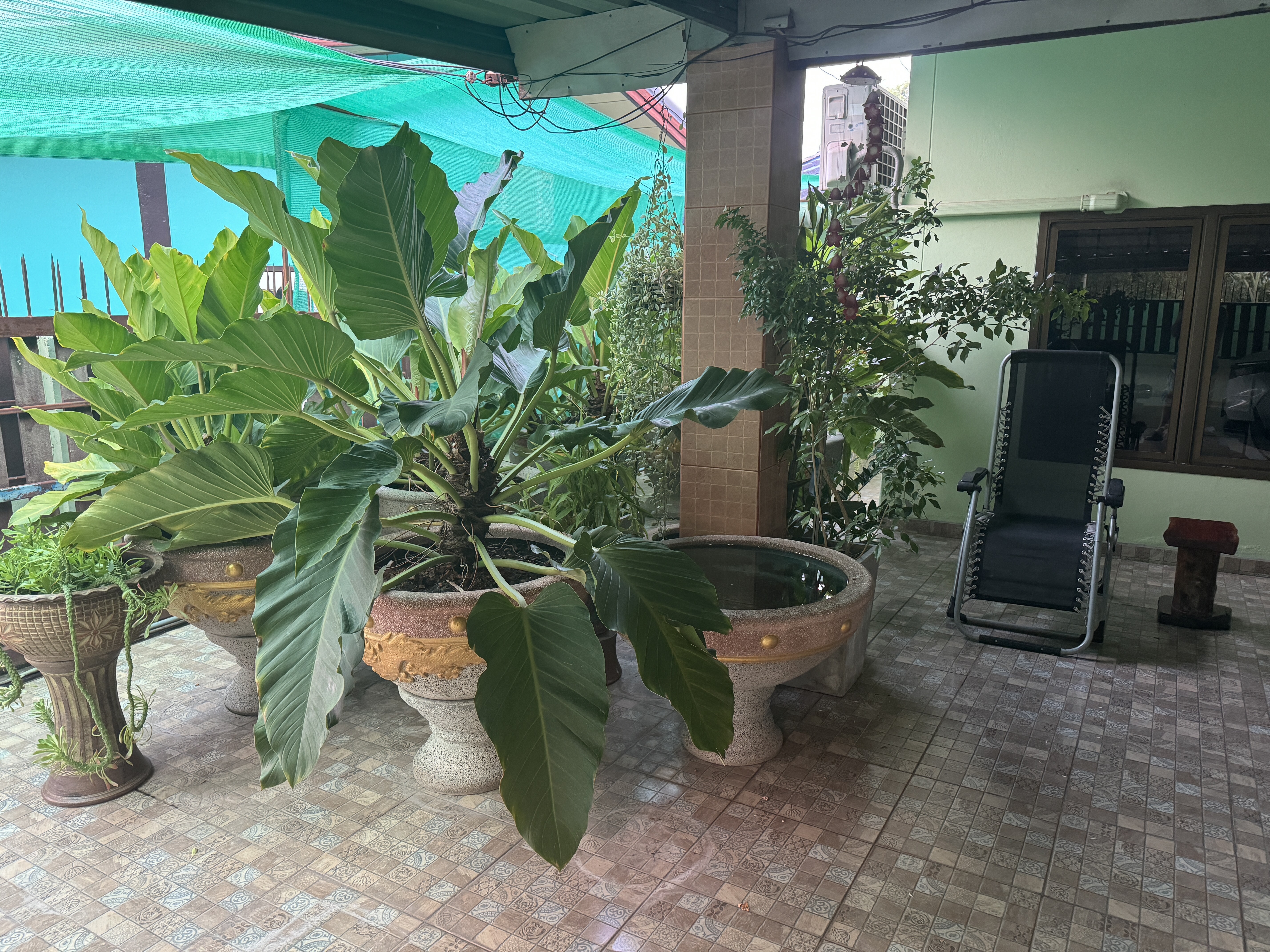 IMG_1083.jpeg