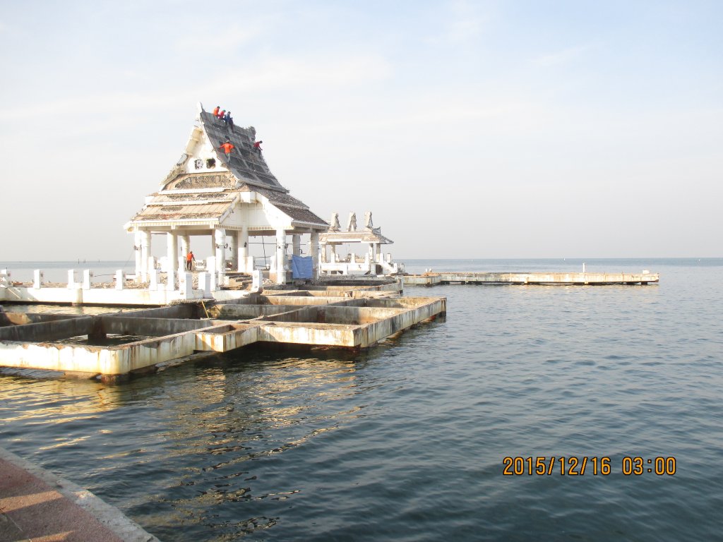 IMG_1184.jpg
