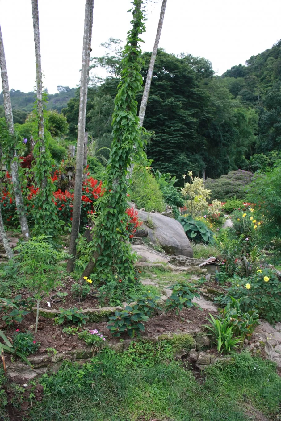 IMG_1213.webp