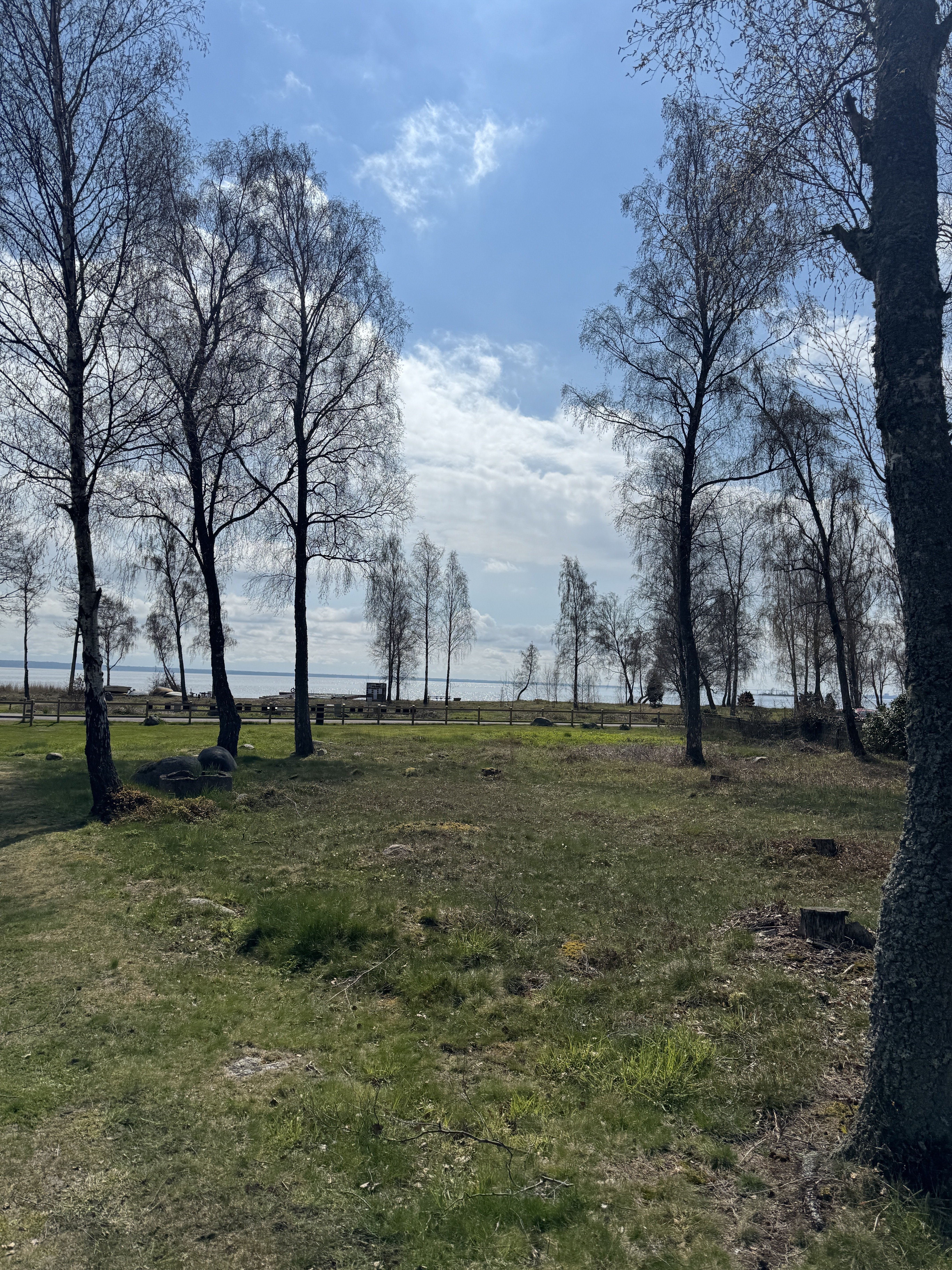 IMG_1216.jpeg