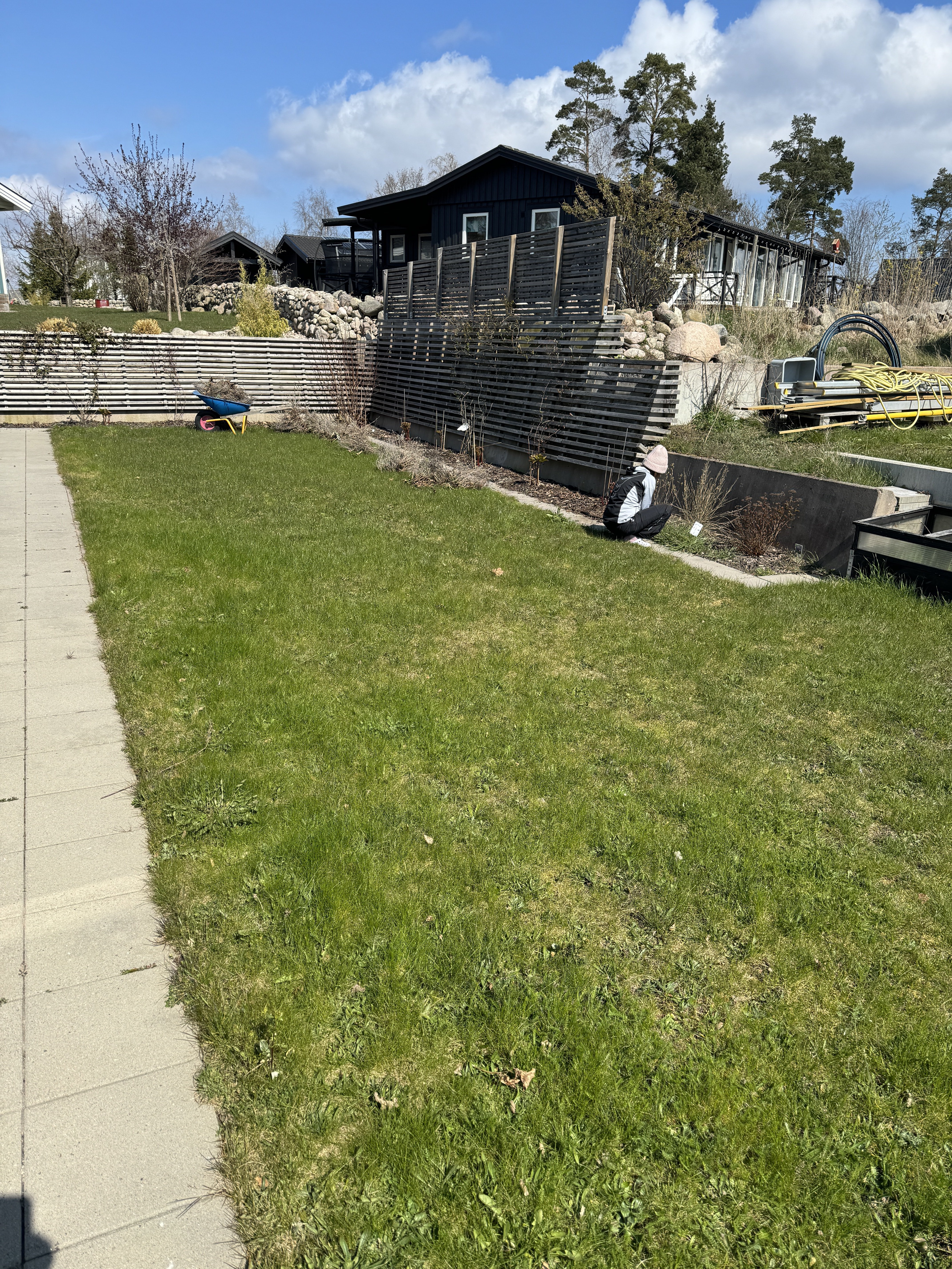 IMG_1217.jpeg