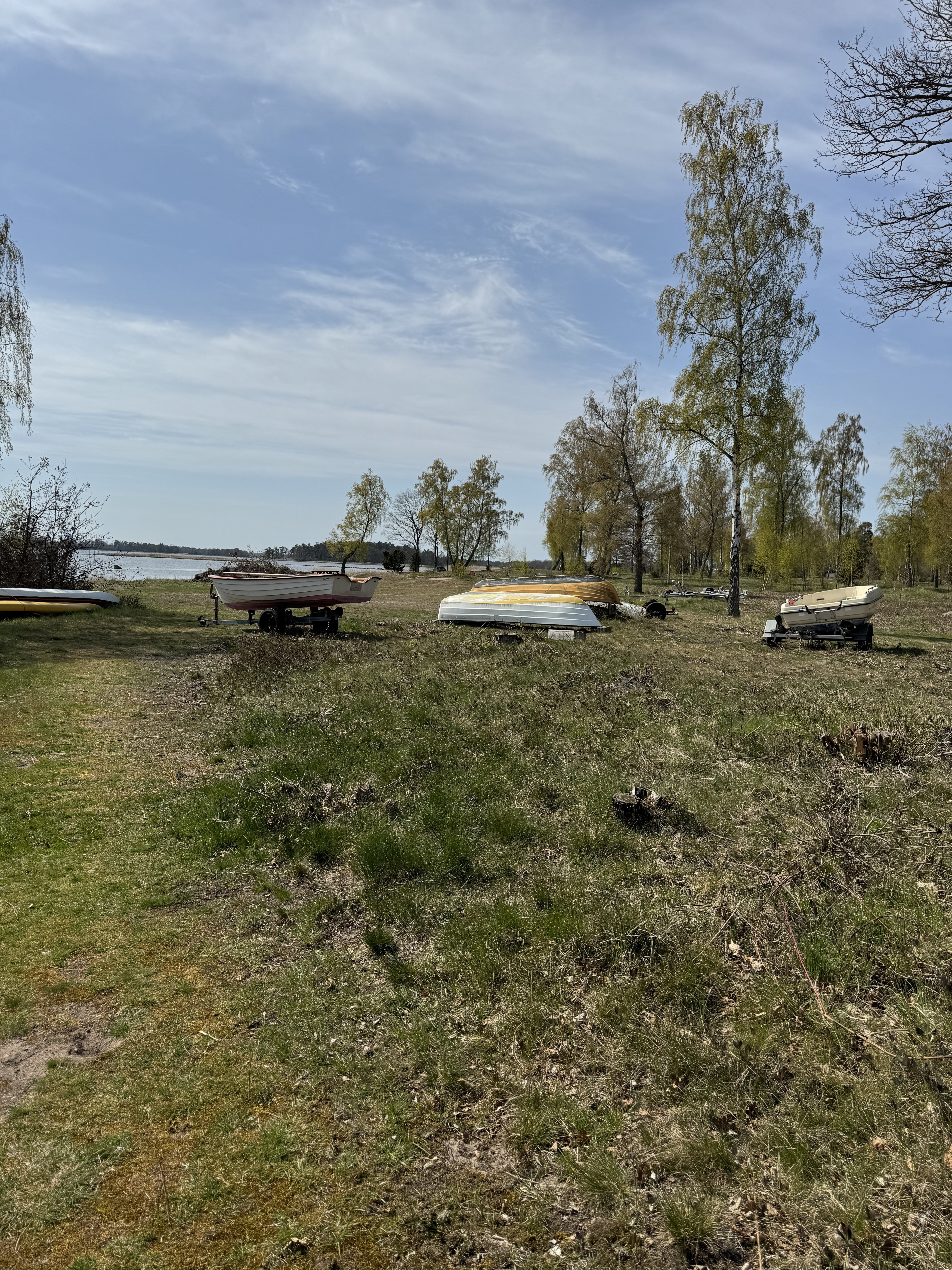 IMG_1242.jpeg