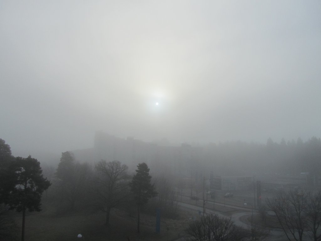 IMG_1260.JPG