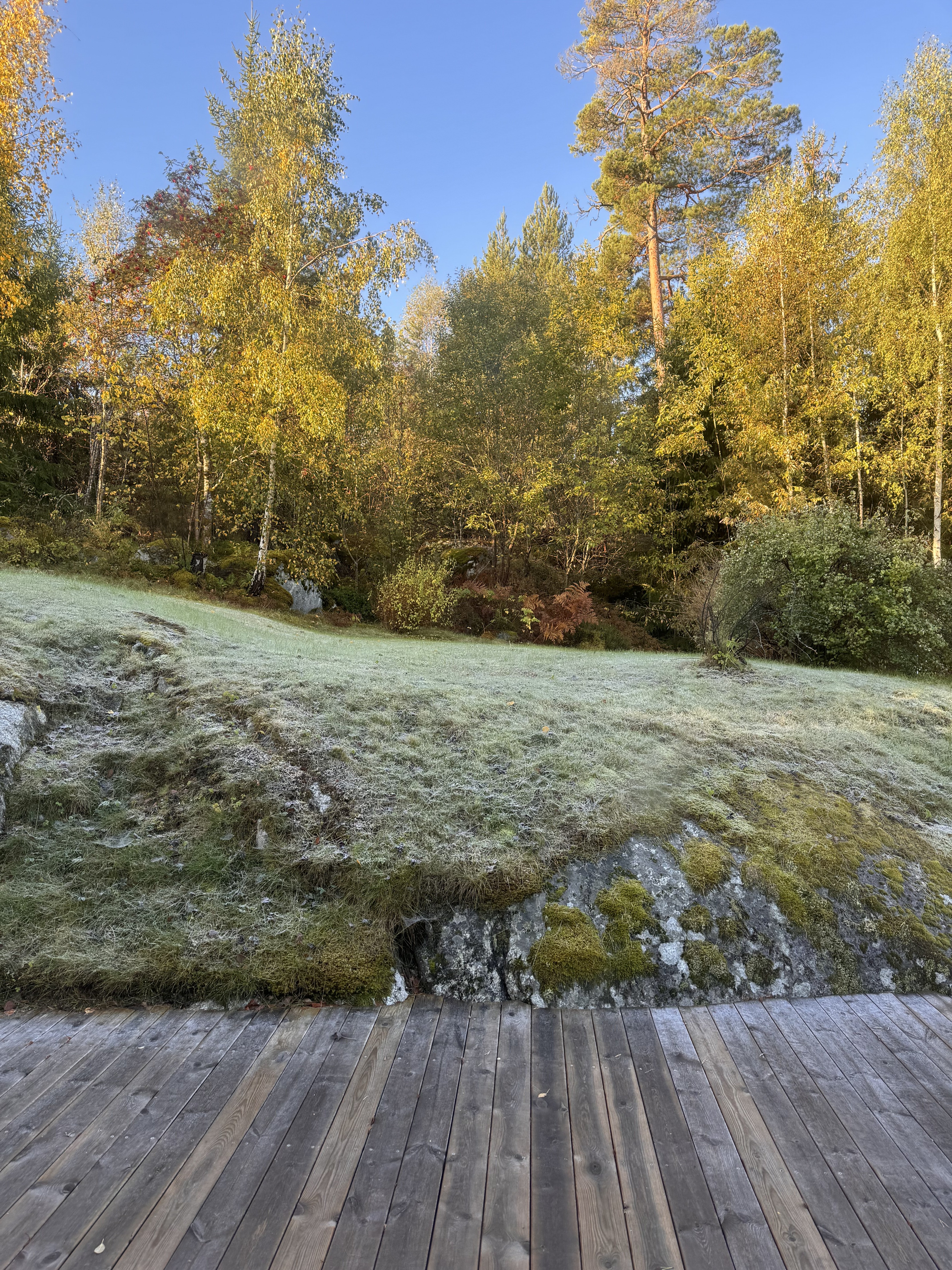 IMG_1262.jpeg