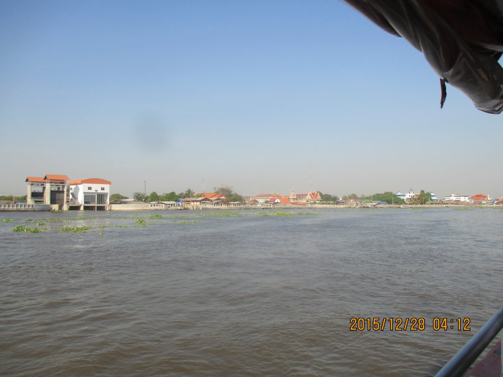 IMG_1395.jpg