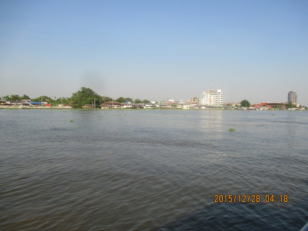 IMG_1401.jpg
