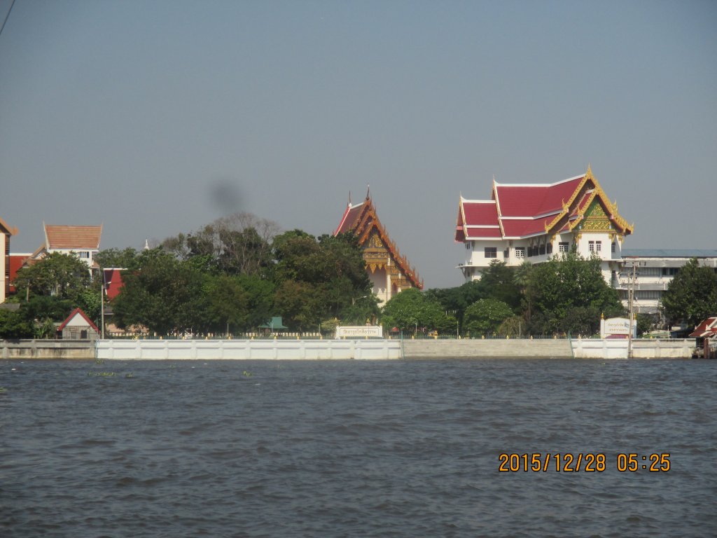 IMG_1418.jpg