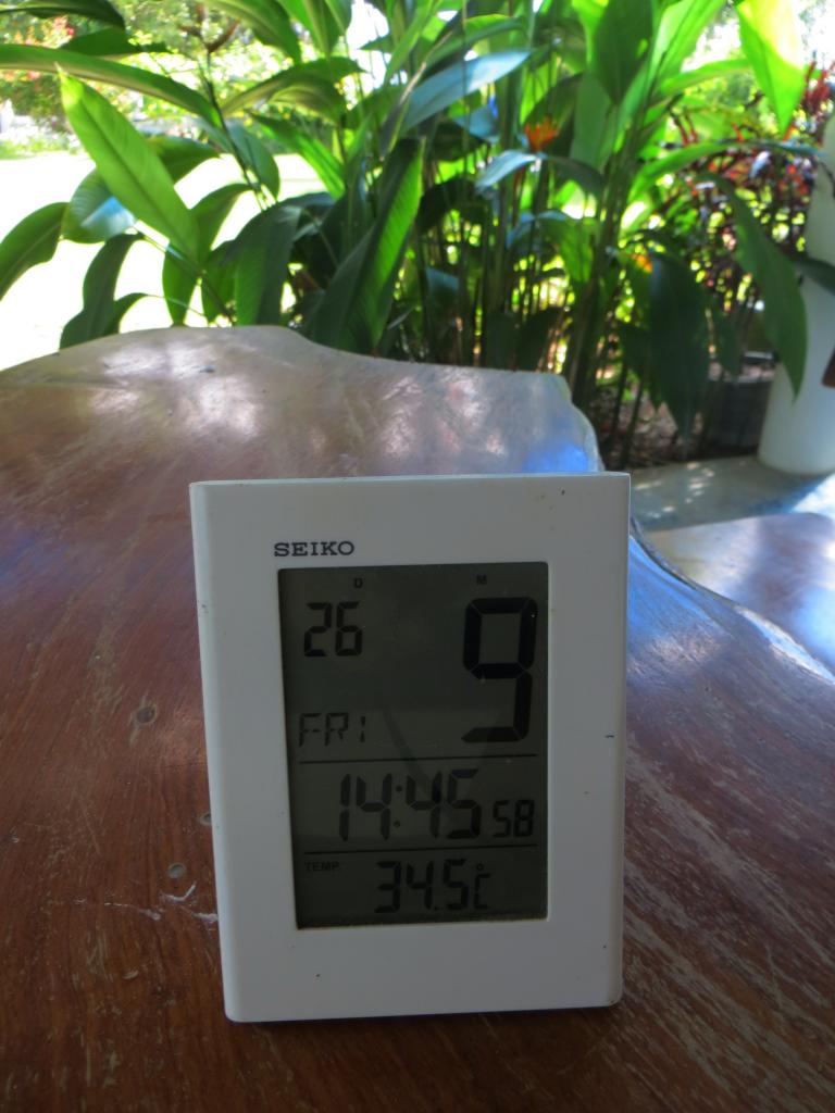 IMG_1466.jpg