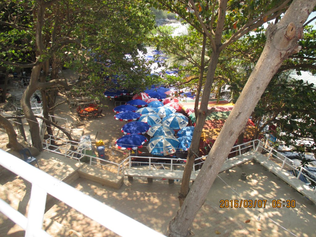 IMG_1585.jpg