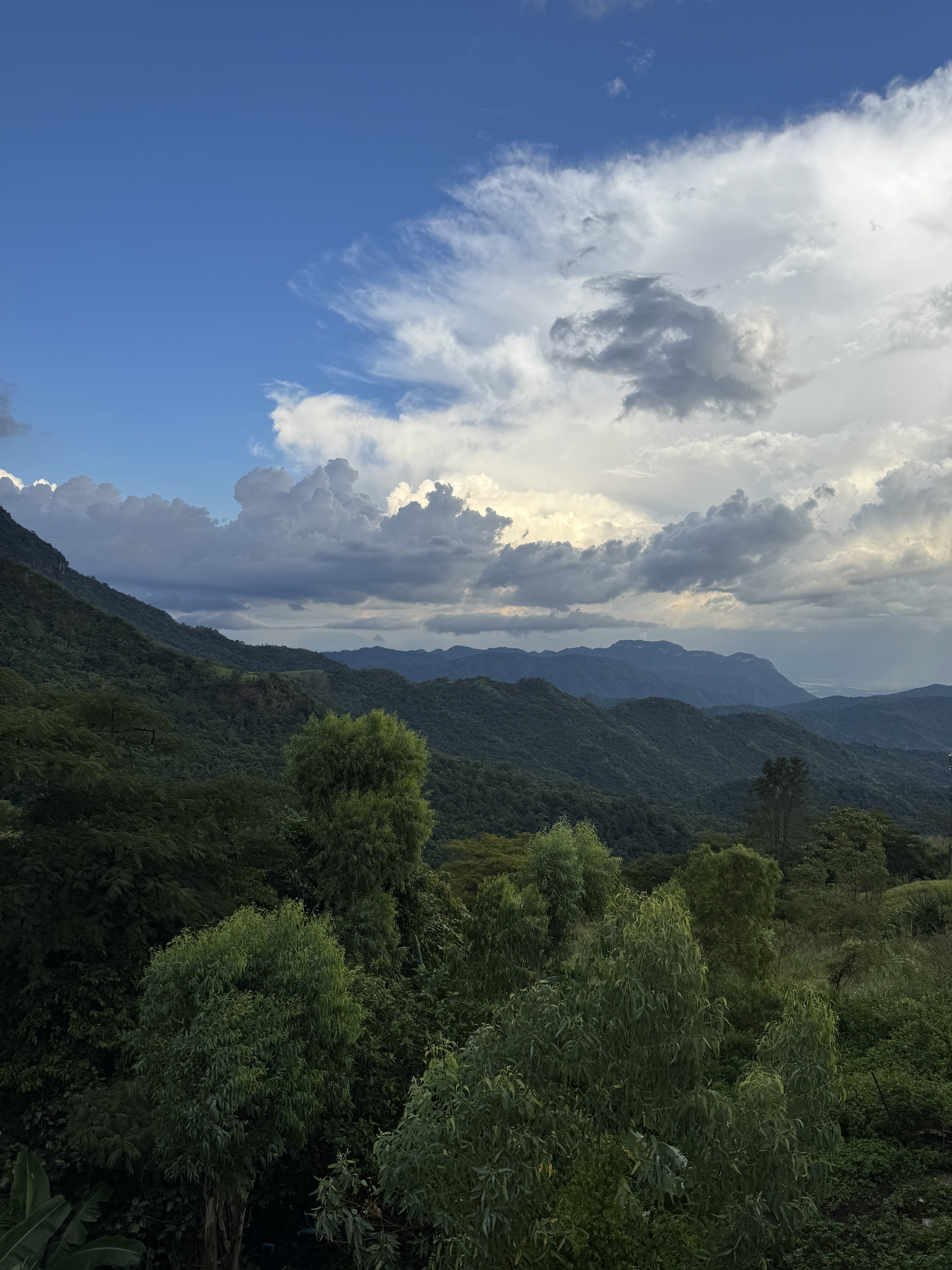 IMG_1707.jpeg