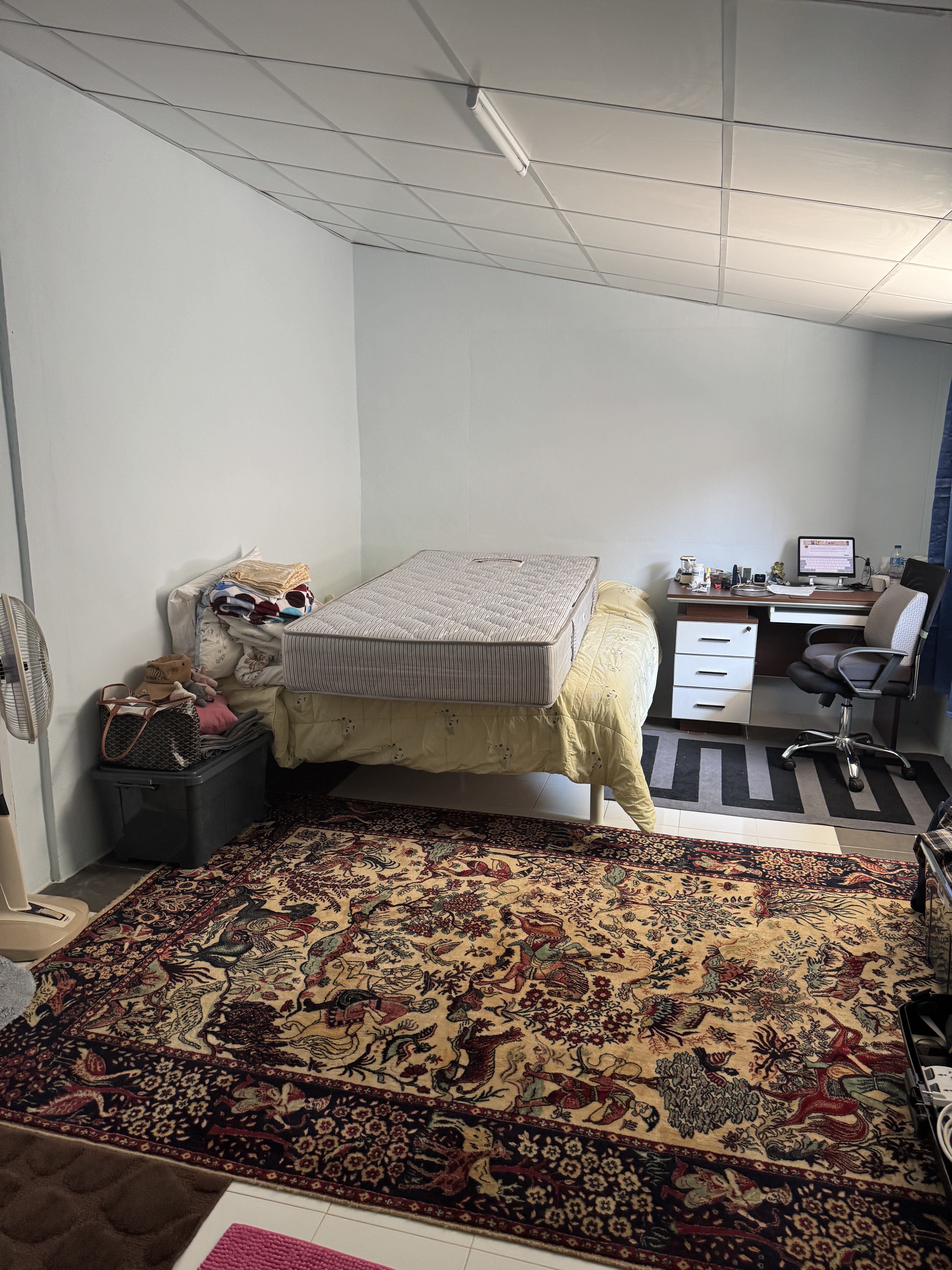 IMG_1736.jpeg